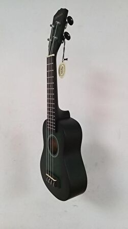 UKULELE 21" MAT MAVİ