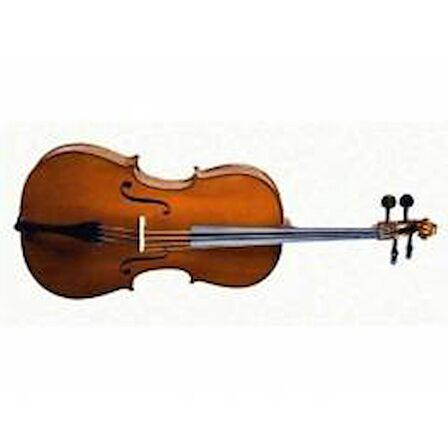 CELLO 3/4 SCALE +KILIF+YAY, KARARTILMIŞ AKÇAAĞAÇ B