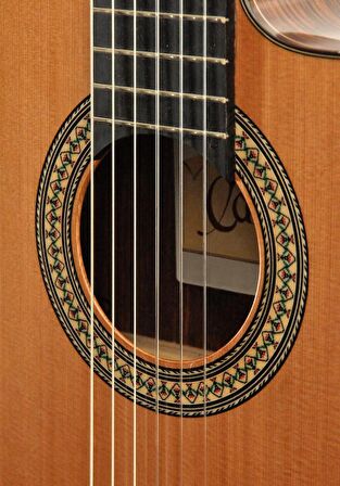 ELEKTRO KLASİK GİTAR FISHMAN CLASSIC III