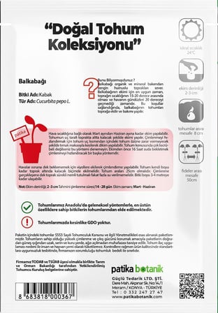 12 Adet Yerli Ata Bal Kabağı Tohumu (Turuncu Etli)