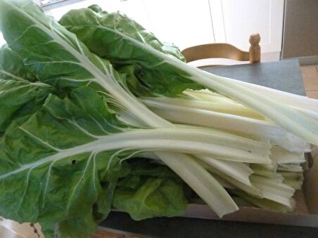 TohumBaba Pazı Tohumu (Yerli) Pakette 30 Adet Tohum