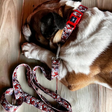 Design Köpek Gezdirme Kayışı – Geri Dönüştürülmüş, Kadifemsi Dokulu, Çift Kilitli Karabina Kanca, 360° Dönüşlü, Dayanıklı &amp; Şık Tasarım, Paws,Small