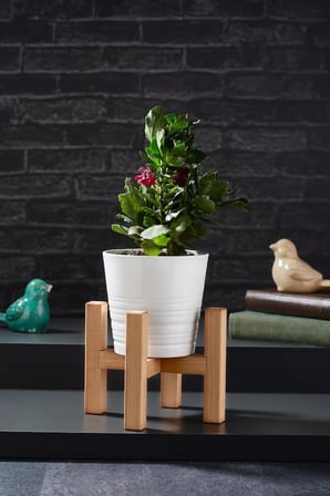 Mini Saksı Ayağı Saksı Standı 15x11 cm Ahşap Saksılık Kaktüs Sukulent Saksılığı