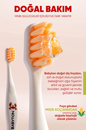 Hindistan Cevizi Doğal Macun ve Yengeç Fırça