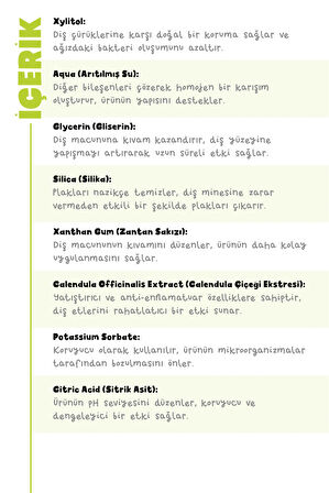 Aromasız Doğal Macun 2'li Set 50 gr x2