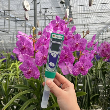 Nieuwkoop pH1 Kalem Tip pH Metre 0.00~14.00 pH2620