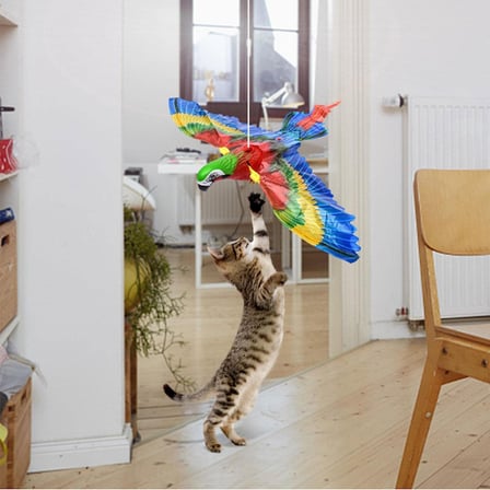 Uçan Papağan Kedi Oyuncağı