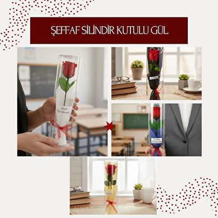Şeffaf Silindir Kutulu Gül - Öğretmenler Günü Hediyesi