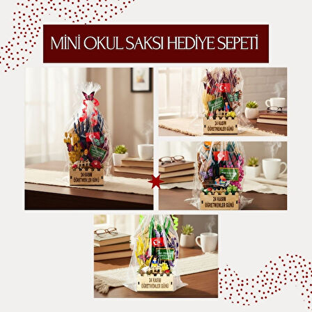 Mini Okul Saksı Hediye Sepeti - Öğretmenler Günü Hediyesi