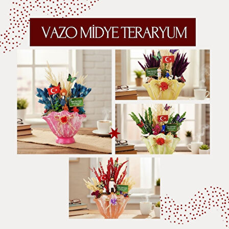 Vazo Midye Teraryum - Öğretmenler Günü Hediyesi