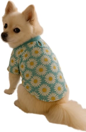 Kedi ve Köpek Kıyafeti &amp; Elbisesi Papatyalı T Shirt Mint Yeşil S