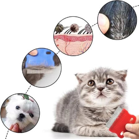 Kedi Köpek Bit Pire Temizleme Tarağı Dış Parazit Kene Yumurtası Temizliği Demir İğne Dişli Tarak
