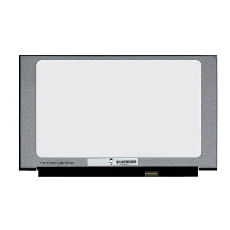 TV156FHM-NH1 Notebook Ekran (FHD)