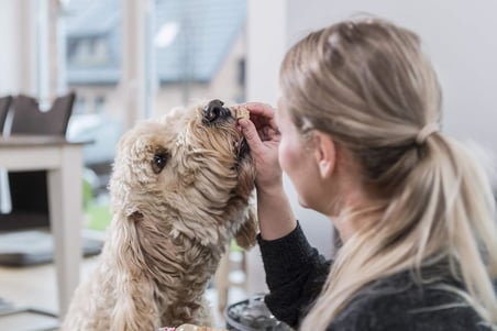 Meaty Treats Freeze Dried Ördekli, 50 gr Köpek Ödülü