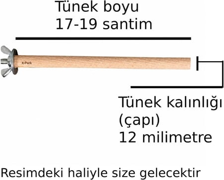 Doğal Ahşap Kuş Tüneği Doğal Ahşap Tünek Papağan Muhabbet Kuşu Kanarya Kafes Tüneği 1 Adet Boy 17-19 cm