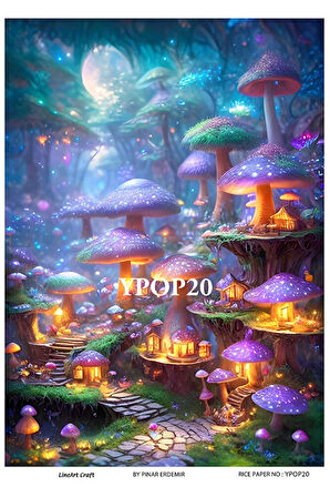 Gizemli Orman Serisi YPOP20