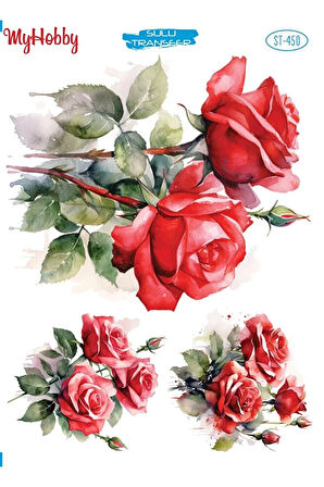 ST 450 Gül Desenli Sulu Transfer 25x35