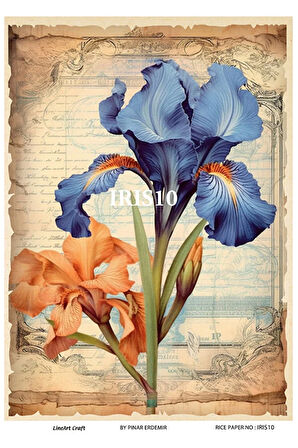 IRIS Serisi IRIS10 İris, Zambak, Çiçek Desenli 30*42 cm Pirinç Dekopaj