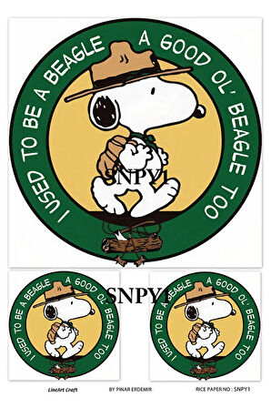 Snoopy Serisi SNPY1 Çizgifilm Karakter 30*42 cm Pirinç Dekopaj