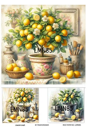 Limon Serisi LMN85 Limon Desenli Pirinç Dekopaj 30*42 cm