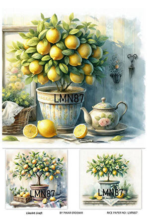 Limon Serisi LMN87 Limon Desenli Pirinç Dekopaj 30*42 cm