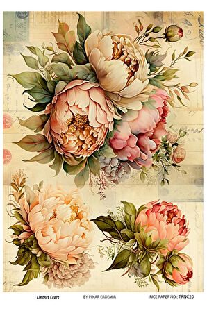 Turuncu Serisi TRNC20 Pirinç Dekopaj 30*42 cm