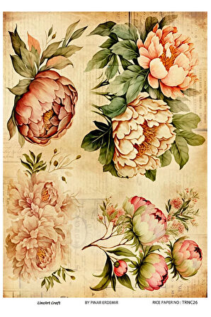 Turuncu Serisi TRNC26 Pirinç Dekopaj 30*42 cm