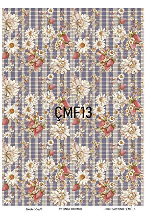 Çilek Serisi ÇMF13 Pirinç Dekopaj 30*42 cm
