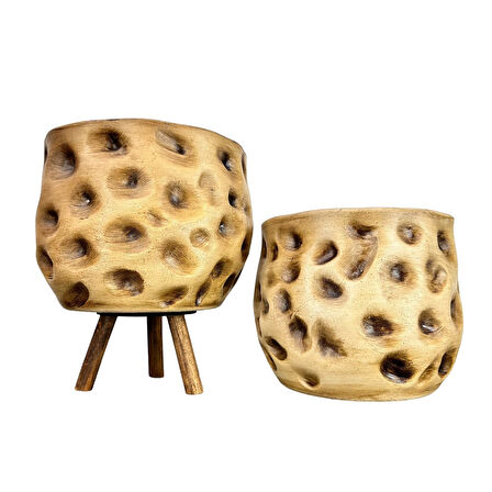 Bitki Tasarımı Ev Dekorasyon Aksesuar Naturel Desenli Toprak Saksı Saksılık Salon Çiçeklik İkili Set Ayaksız - 3 Ayaklı 19 CM