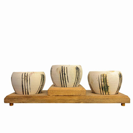 Bitki Tasarımı Ev dekorasyon Aksesuar Bej Çizgili EskitmeToprak Saksı Üçlü Ahşap Tabanlı Çiçeklik Saksı Saksılık