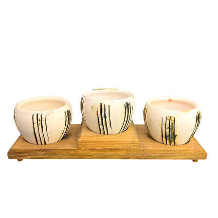 Bitki Tasarımı Ev dekorasyon Aksesuar Bej Çizgili EskitmeToprak Saksı Üçlü Ahşap Tabanlı Çiçeklik Saksı Saksılık