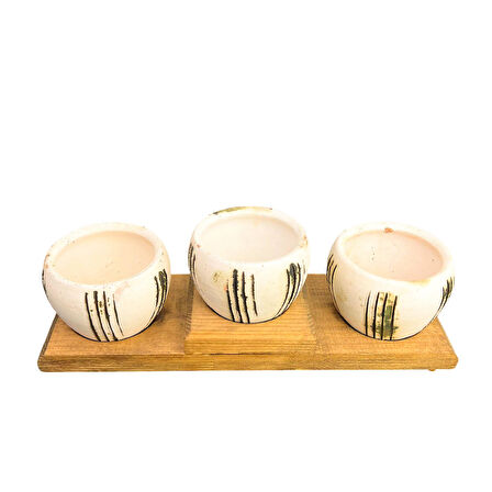 Bitki Tasarımı Ev dekorasyon Aksesuar Bej Çizgili EskitmeToprak Saksı Üçlü Ahşap Tabanlı Çiçeklik Saksı Saksılık