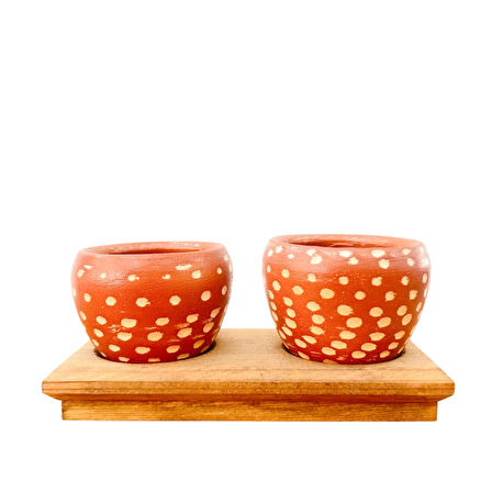 Bitki Tasarımı Ev dekorasyon Aksesuar Beyaz Nokta Terakota Saksı İkili Ahşap Tabanlı Çiçeklik Saksı Saksılık