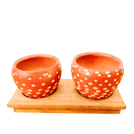 Bitki Tasarımı Ev dekorasyon Aksesuar Beyaz Nokta Terakota Saksı İkili Ahşap Tabanlı Çiçeklik Saksı Saksılık