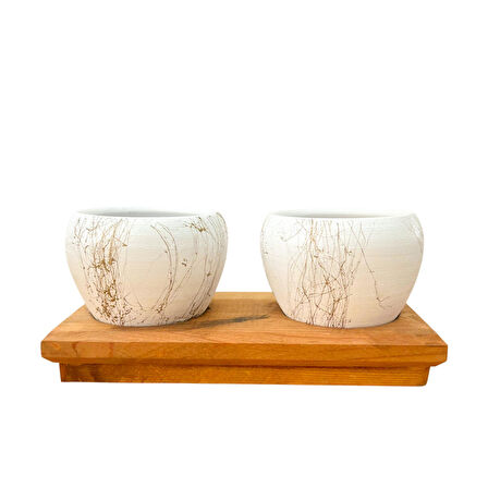 Bitki Tasarımı Ev dekorasyon Aksesuar Beyaz Gold Saksı İkili Ahşap Tabanlı Çiçeklik Saksı Saksılık