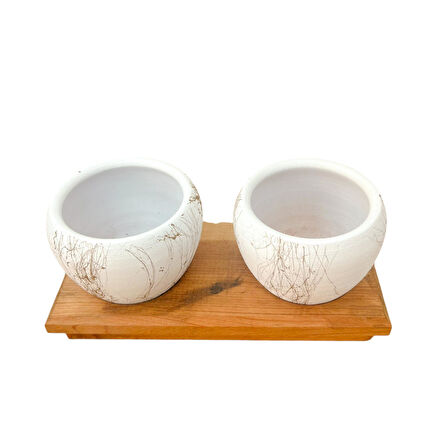 Bitki Tasarımı Ev dekorasyon Aksesuar Beyaz Gold Saksı İkili Ahşap Tabanlı Çiçeklik Saksı Saksılık