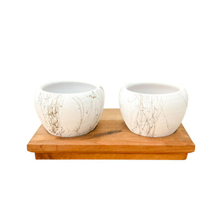 Bitki Tasarımı Ev dekorasyon Aksesuar Beyaz Gold Saksı İkili Ahşap Tabanlı Çiçeklik Saksı Saksılık