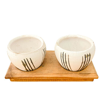 Bitki Tasarımı Ev dekorasyon Aksesuar Bej Çizgili Eskitme Toprak Saksı İkili Ahşap Tabanlı Çiçeklik Saksı Saksılık