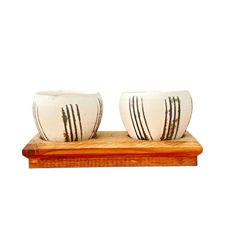 Bitki Tasarımı Ev dekorasyon Aksesuar Bej Çizgili Eskitme Toprak Saksı İkili Ahşap Tabanlı Çiçeklik Saksı Saksılık