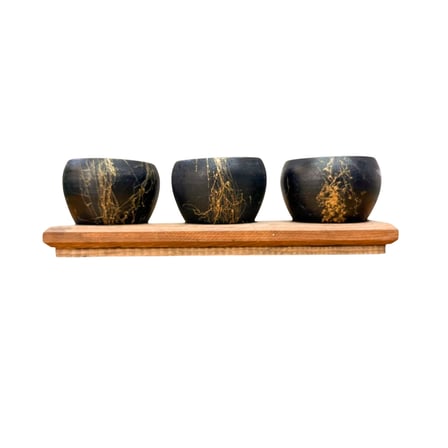 Bitki Tasarımı Black Marble Premium 3'lü Sukulent Kaktüs Saksı Seti | Ahşap Standlı Dekoratif Saksılık