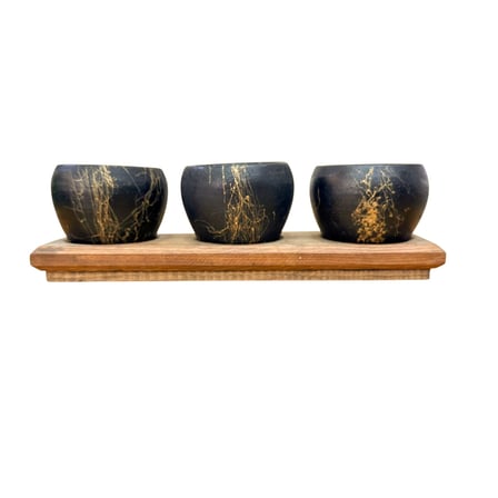 Bitki Tasarımı Black Marble Premium 3'lü Sukulent Kaktüs Saksı Seti | Ahşap Standlı Dekoratif Saksılık
