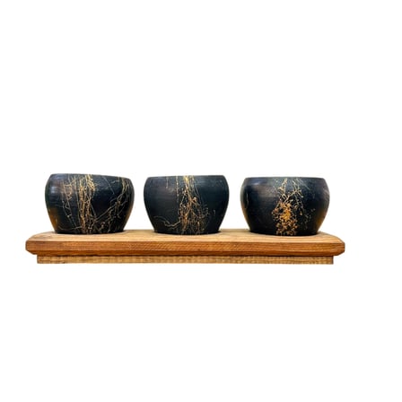 Bitki Tasarımı Black Marble Premium 3'lü Sukulent Kaktüs Saksı Seti | Ahşap Standlı Dekoratif Saksılık