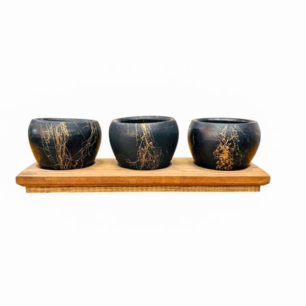 Bitki Tasarımı Black Marble Premium 3'lü Sukulent Kaktüs Saksı Seti | Ahşap Standlı Dekoratif Saksılık