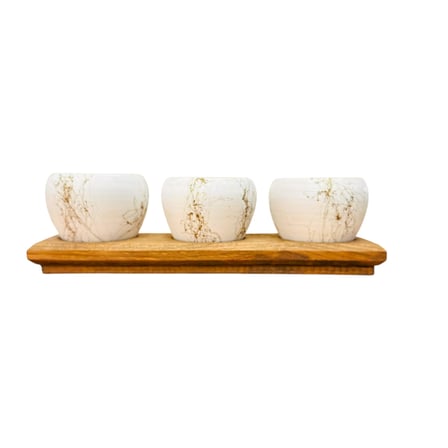 Bitki Tasarımı White Marble Premium 3'lü Sukulent Kaktüs Saksı Seti | Ahşap Standlı Dekoratif Saksılık
