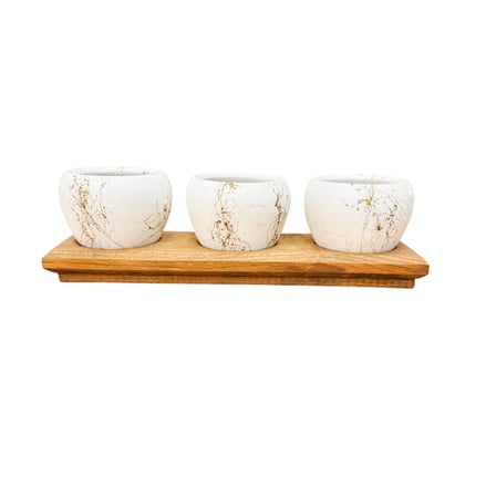 Bitki Tasarımı White Marble Premium 3'lü Sukulent Kaktüs Saksı Seti | Ahşap Standlı Dekoratif Saksılık