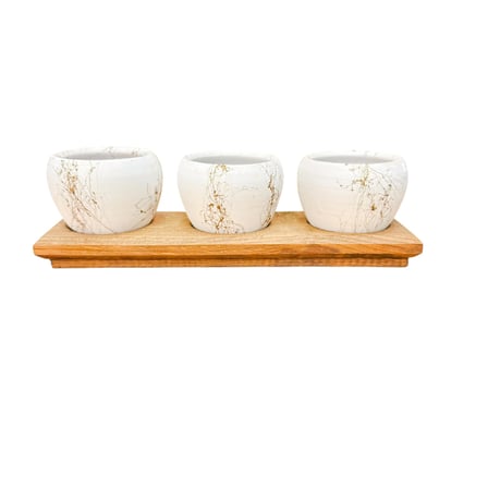 Bitki Tasarımı White Marble Premium 3'lü Sukulent Kaktüs Saksı Seti | Ahşap Standlı Dekoratif Saksılık