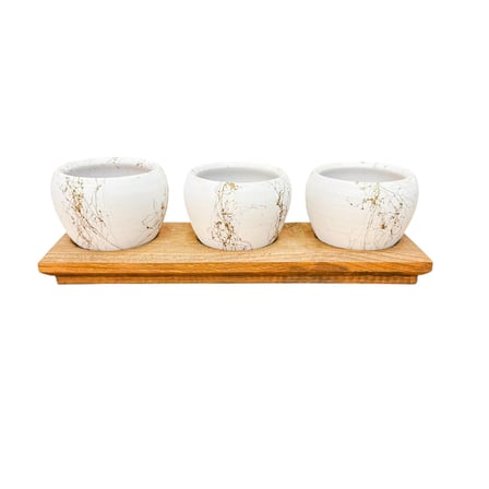 Bitki Tasarımı White Marble Premium 3'lü Sukulent Kaktüs Saksı Seti | Ahşap Standlı Dekoratif Saksılık