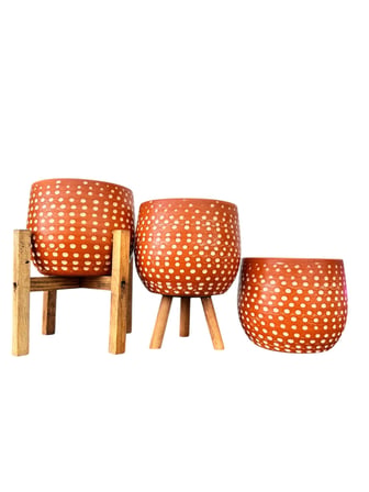 Bitki Tasarımı Nokta Desenli Terakota Saksı & Saksılık Dekoratif Salon Çiçekliği 3'lü Set 15 CM