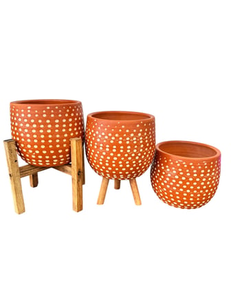 Bitki Tasarımı Nokta Desenli Terakota Saksı & Saksılık Dekoratif Salon Çiçekliği 3'lü Set 15 CM