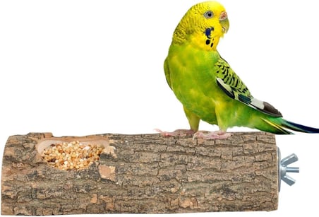 Doğal Ağaç Kuş Tüneği Ve Yemlik Kütük Tünek Yemlikli Tünek Uzunluk 15 cm